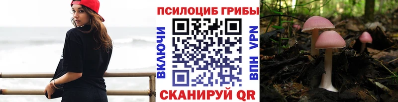 Псилоцибиновые грибы Psilocybe Талдом